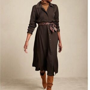 Banana Republic Satin Shirt Dress Size S
